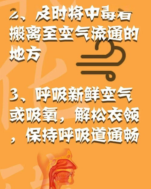 消防安全心中記，平平安安過大年——系列三：消防安全全攻略